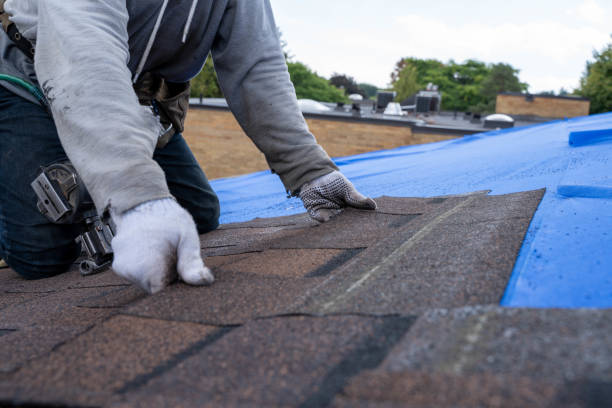 Best Storm Damage Roof Repair  in Jefferson, LA